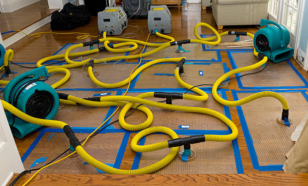 Professional Storm Water Damage Restoration technician working in Abington, PA